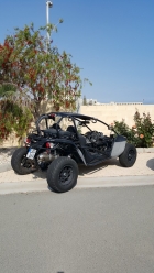 Buggy PGO Bug Racer 600i 4